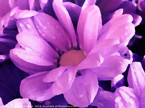     Purple Painted Flower                          Picture Board by Jane Metters