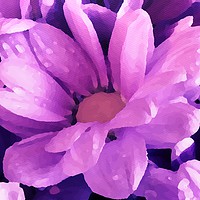 Buy canvas prints of     Purple Painted Flower                          by Jane Metters