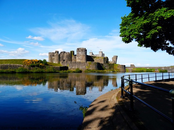 Caerphilly Castle                                Picture Board by Jane Metters