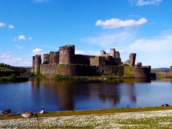 A View of Caerphilly Castle  Picture Board by Jane Metters