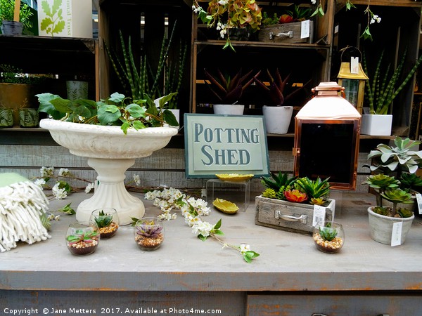      The Potting Shed                           Picture Board by Jane Metters