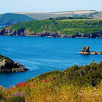 Buy canvas prints of South Devon Coast                           by Jane Metters