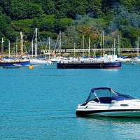 Buy canvas prints of Dartmouth Harbour by Jane Metters