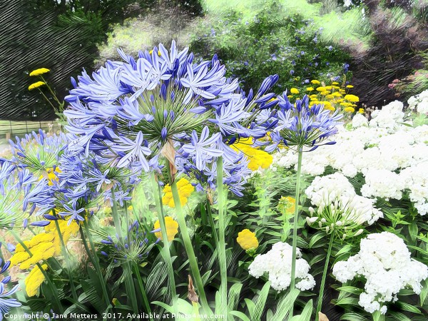 Flowers in the Garden Picture Board by Jane Metters