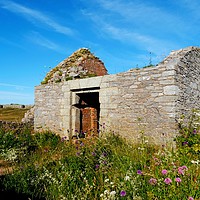 Buy canvas prints of           Berry Head Powder Magazine               by Jane Metters