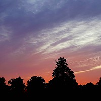 Buy canvas prints of A Beautiful Evening                                by Jane Metters