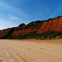 Buy canvas prints of    The Red Cliffs of Devon                         by Jane Metters
