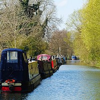 Buy canvas prints of        All Moored Up                         by Jane Metters