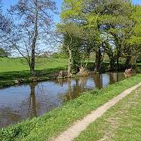 Buy canvas prints of The Canal Path by Jane Metters