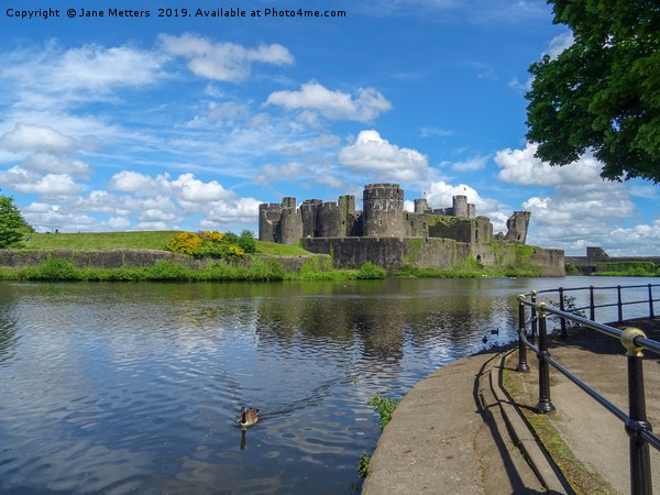 Wildlife on the Moat Picture Board by Jane Metters