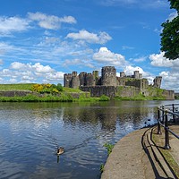 Buy canvas prints of Wildlife on the Moat by Jane Metters