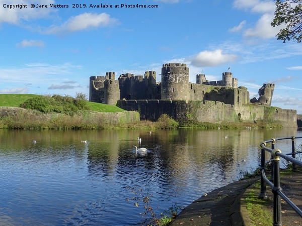 Caerphilly Castle Wildlife Picture Board by Jane Metters