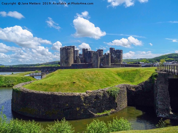 The Castle Of Caerphilly  Picture Board by Jane Metters