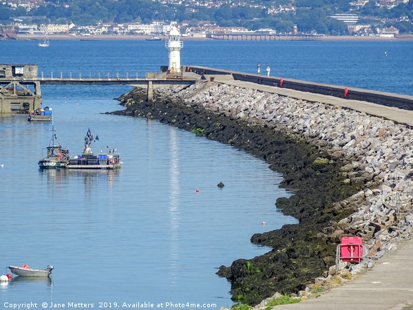 Breakwater and Lighthouse Brixham Picture Board by Jane Metters