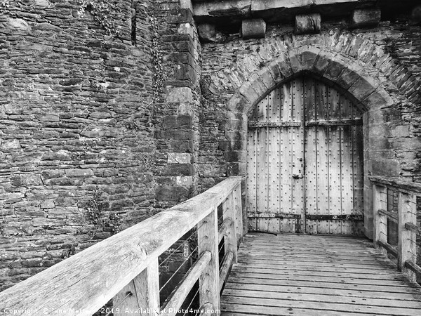 Enter Caerphilly Castle Picture Board by Jane Metters