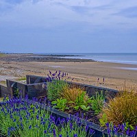 Buy canvas prints of Pretty Porthcawl by Jane Metters