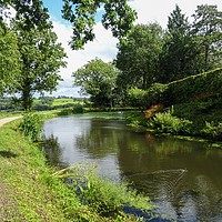 Buy canvas prints of Canal Walk by Jane Metters