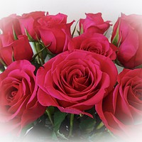 Buy canvas prints of Red Roses  by Jane Metters