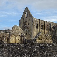 Buy canvas prints of Tintern Abbey by Jane Metters