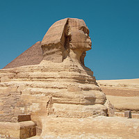 Buy canvas prints of Sphinx of Giza by Jane Metters