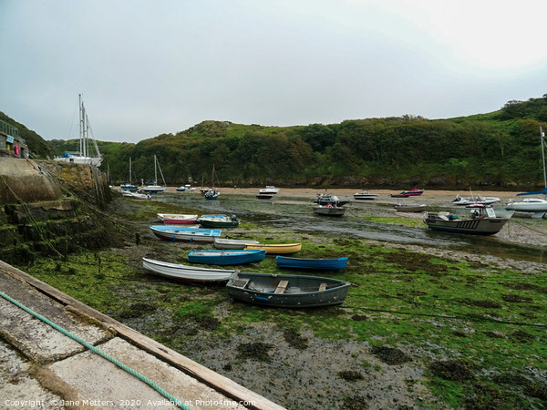 Solva Harbour Picture Board by Jane Metters