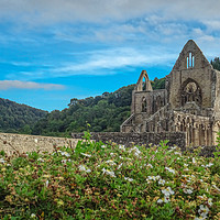 Buy canvas prints of Tintern Abbey by Jane Metters