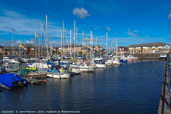 Blue Sky Over The Marina Picture Board by Jane Metters
