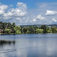 Buy canvas prints of Lake View by Jane Metters