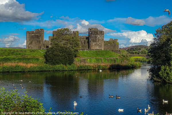 Caerphilly Castle  Picture Board by Jane Metters