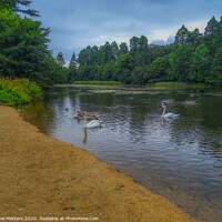 Buy canvas prints of Tredegar Park Lake by Jane Metters