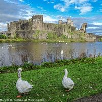 Buy canvas prints of Life around the Castle by Jane Metters