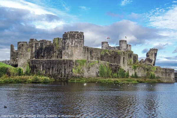 Castle in Caerphilly Picture Board by Jane Metters
