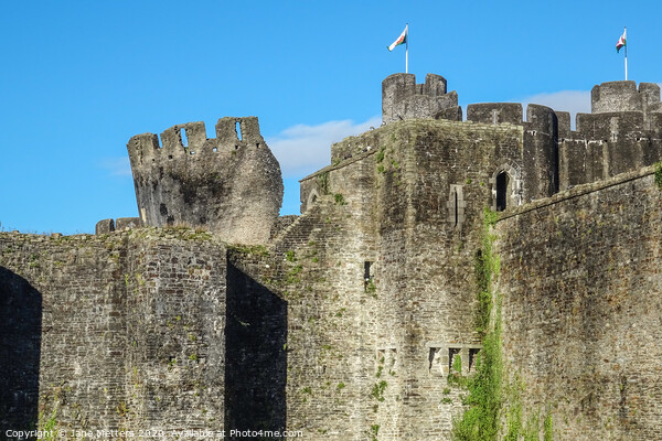 Caerphilly Castle’s Leaning Tower Picture Board by Jane Metters