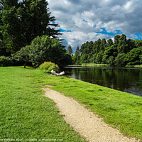 Buy canvas prints of Tredegar Park  by Jane Metters