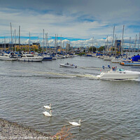 Buy canvas prints of Penarth Marina  by Jane Metters