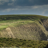Buy canvas prints of Clifftop  by Jane Metters