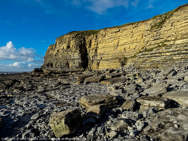 The Cliffs on Dunraven Bay  Picture Board by Jane Metters