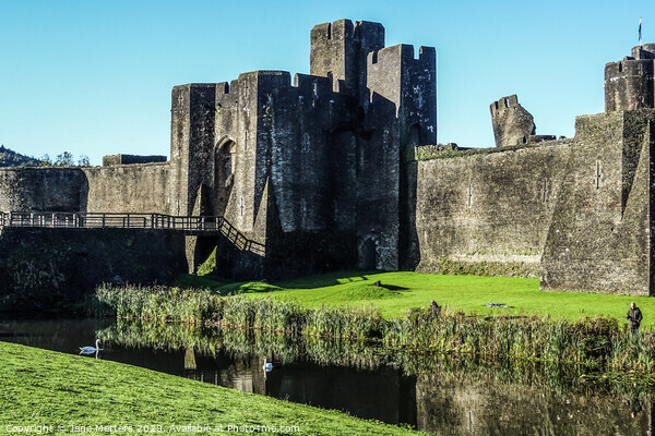 The Castle in Caerphilly  Picture Board by Jane Metters