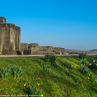 Buy canvas prints of Castle in Caerphilly  by Jane Metters