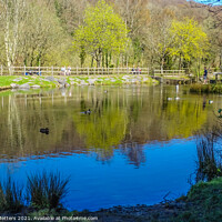 Buy canvas prints of Barry Sidings Pond by Jane Metters
