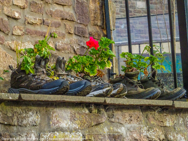 Plants in Boots Picture Board by Jane Metters