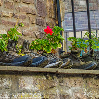 Buy canvas prints of Plants in Boots by Jane Metters