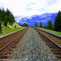 Buy canvas prints of Mountain Tracks by Megan Winder