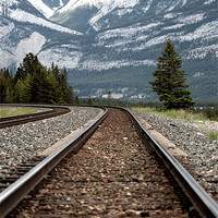 Buy canvas prints of Tracks by Chris Hill