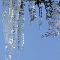 Buy canvas prints of Clear blue sky with Icicles by Avril Harris