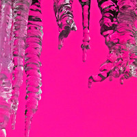 Buy canvas prints of Hot Pink Icicles by Avril Harris