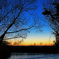 Buy canvas prints of Silhouetted trees at sunset creek. by Avril Harris