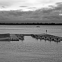 Buy canvas prints of Black and White Moored Boats by Avril Harris