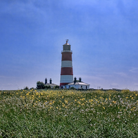 Buy canvas prints of Happisburgh Lighthouse by Avril Harris
