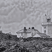 Buy canvas prints of Cromer Lighthouse Black and White by Avril Harris